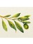 Zeytin Dalı Tablo Ahşap Poster Dekoratif 1