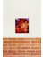 Flowerseok: Haşhaş Tablo Ahşap Poster Dekoratif KOD3040 2