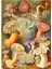 Deniz Anemonları, Ernst Haeckel Tablo Ahşap Poster Dekoratif 1