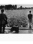 Poster Liam Gallagher Poster Oasıs Knebworth Tablo Ahşap Poster Dekoratif 1