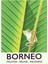 Borneo Kurbağa Seyahat Posteri Tablo Ahşap Poster Dekoratif 1