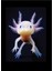 Axolotl Meksikalı Yürüyen Balık Sevimli Amfibi Axolotl Tablo Ahşap Poster Dekoratif 1