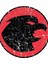 Dc Comics Hawkgirl Distressed Logo Resmi Kadın Ahşap Poster Dekoratif 1