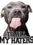 Pitbullar Tüm Nefret Edenlerime Tablo Ahşap Poster Dekoratif 1