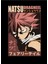 Natsu Dragneel Fairy Tail Tablo Ahşap Poster Dekoratif 1