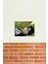 Taehyung Fanart Tablo Ahşap Poster Dekoratif KOD3703 2