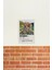 Midsommar Minimalist Polaroid Film Posteri Tablo Ahşap Poster Dekoratif 2