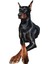 Doberman Köpeği Dobermann Pinscher Tablo Ahşap Poster Dekoratif 1