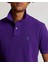 Polo Ralph Lauren Erkek Polo Yaka Tişört U007671 2