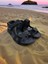 Ortopedik Outdoor Anatomik Taban Çocuk Spor Sandalet 1