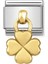 Tekno Trust 18 Ayar Composable Classic Charms And Steel And 18K Gold Four Leaf Clover Cz 1 Yıl Sarı 1