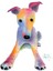 Whippet Greyhound ' Tooty Fruıty ' Shirley Macarthur Tarafından Tablo Ahşap Poster Dekoratif 1