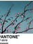 Blossom Pantone 90'lar Anime Estetik Tablo Ahşap Poster Dekoratif 1