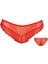 Özkan Underwear Papatya 4031 Kadın Dantelli Bikini Külot 1