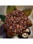 Hazelnut Coffee - Fındık Aromalı Kahve Çekirdek Kahve, 200 Gr 4
