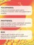 50 Spf+ Güneş Koruyucu 100 ml 5