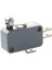 Büyük Boy Kısa Palet Makaralı Limit Switch 1