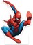 Spiderman Ayaklı Pano Model 01 - 33X24 cm 1