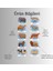 Ingilizce Hayvanlar Öğrenme Eşleme Puzzle Kartı, Puzzle Eğitici Oyuncak, Montessori Eğitim Oyuncak 6