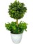 Yapay Ağaç Şimşir Top Tek Toplu Şimşirli 12X31CM Beyaz Saksıda 1