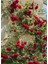 Kırmızı Sarmaşık Gül Fidanı 1 Adet Saksılı/tüplü 50-80CM (Red Rose) 3