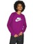 Sportswear Crew Purple Sweat Cotton Pamuklu Şardonlu Mor Sweatshirt 1