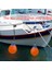 2'li 4ft Bağlama Halatı Bungee Ip Seti - Kayak, Tekne, Seadoo, Jet Ski, Pontoon ve Kano Için Olmazsa Olmaz Aksesuarlar (Yurt Dışından) 3
