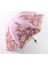 Dantel Katlanır Kadın Yağmur Şemsiye Kızlar Şemsiye Etkinlik Düğün Su Geçirmez Anti-Uv Şemsiye Paraguas Guarda Chuva Sombrinha (Pembe) (Yurt Dışından) 1