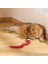 Sneaky Snake Interaktif Kedi Oyuncağı 3