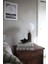 Globen Lighting Torrano Mermer Masa Lambası 53CM 4