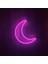 Neon LED Gece Lambası (21X27) 3