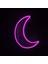 Neon LED Gece Lambası (21X27) 5