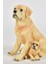 Seta Biblo Köpek Sarı Tek Yavrulu Büyük 29*21 cm 1