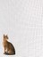 Menteşeli Yırtılmaz Kapı Kedi Sinekliği (Pet Tül) Antrasit 90X210 Cm. Özel Ölçü Verebilirsiniz. 4