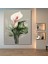 Sayılarla Boyama Hobi Seti Renkli Baskılı (Çerçeveli) 40X50 Cm: Calla Lily 3 1