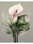 Sayılarla Boyama Hobi Seti Renkli Baskılı (Çerçeveli) 40X50 Cm: Calla Lily 3 2
