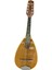Mandolin 1