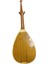 Mandolin 3