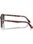 Güneş Gözlüğü 3171-S 24/31 52-20 / Unisex Güneş Gözlüğü 2