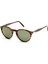 3092-S-M 9015/31 52-19 Unisex Güneş Gözlüğü – Kahverengi Asetat Çerçeve & Mat Yeşil Cam 1