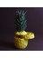 Ananas Saklama Kutusu 1