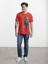 Pus Ayı Baskılı Bisiklet Yaka T-Shirt 1