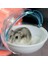 Sarı Stil Hamster Tuvalet Hamster Fare Gerbil Evcil Hayvan Banyo Kafes Kutu Kum Oda Oyuncak Akrilik Ev 3 Renk Küçük Evcil Hayvan Malzemeleri (Yurt Dışından) 5