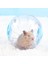 PEMBE-12CM Tarzı Plastik Açık Hava Spor Topu Yuva Sıçan Küçük Evcil Hayvan Kemirgen Mice Koşu Topu Oyuncak Hamster Gerbil Sıçan Egzersiz Topları Oyun Oyuncakları (Yurt Dışından) 3