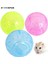 Mavi Bir Stil 12CM Plastik Evcil Kemirgen Fare Koşu Topu Oyuncak Hamster Gerbil Sıçan Egzersiz Topları Oyuncağı 10CM 12CM (Yurt Dışından) 2