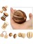 No.7 Tarzı S Beden Sevimli Doğal Ahşap Tavşanlar Hamster Oyuncakları Çam Dumbells Tek Tekerlek Çanlı Silindir Oyuncaklar Hamsterler Için Malzemeler (Yurt Dışından) 2