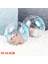 MAVI-12CM Tarzı 14 cm Plastik Dış Mekan Spor Topu Topaç Sıçan Küçük Evcil Hayvan Kemirgen Fare Egzersiz Topu Oyuncak Hamster Gerbil Sıçan Egzersiz Topları Oyuncağı (Yurt Dışından) 3