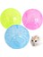 Rastgele Renk Stili Küçük Kemirgen Fare Koşu Topu Hamster Gerbil Sıçan Egzersiz Taşınabilir Komik Katı Hamster Koşu Topları Oyun Oyuncakları Aksesuarı (Yurt Dışından) 2