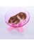Pembe Tarzı Evcil Hayvan Egzersiz Tekerleği Hamster Koşu Diski Plastik Çapı Sabit Sessiz Spor Koşu Tekerleği Hamster Oyuncak Sincap Tekerleği (Yurt Dışından) 3