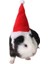 Küçük Hayvanlar Pet Noel Baba Şapkası Tavşan Hamster Hint Domuzu Fareler Festival Kostümü Yılbaşı Kapağı ile Band Pet Ürünleri (Yurt Dışından) 3